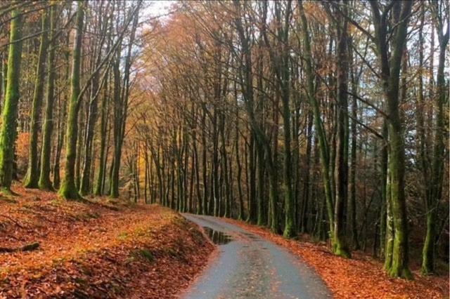Tyn Y Simdde - Secluded Mountain Stay - Stunning Views Of Eryri Долгелай Екстериор снимка