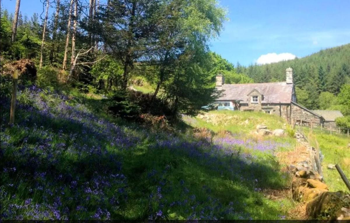 Tyn Y Simdde - Secluded Mountain Stay - Stunning Views Of Eryri Долгелай Екстериор снимка