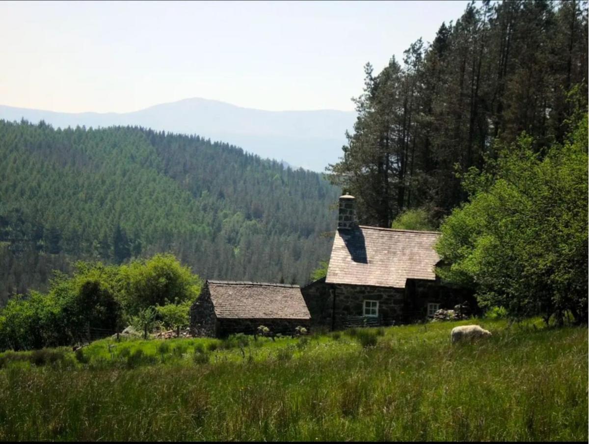 Tyn Y Simdde - Secluded Mountain Stay - Stunning Views Of Eryri Долгелай Екстериор снимка